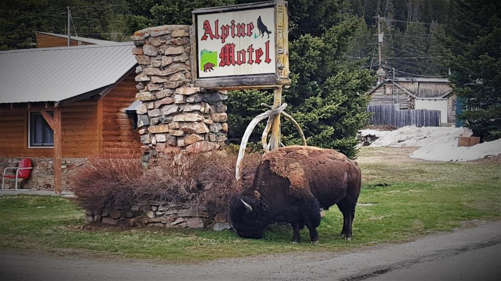 Alpine Motel of Cooke City Main image 1